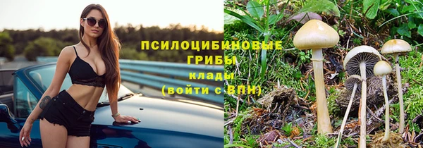 дурь Балахна