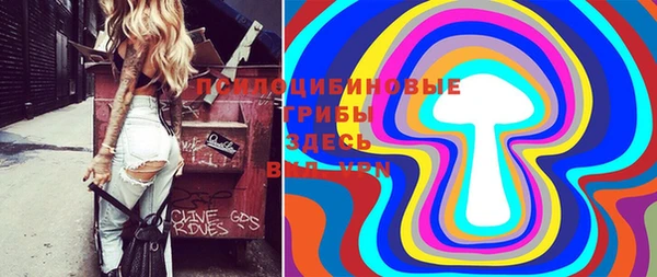 spice Баксан