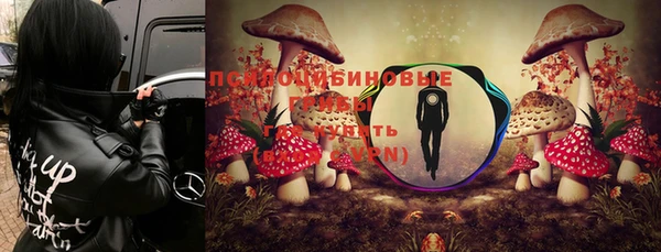 дурь Балахна